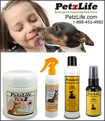 Flea Control for Dogs