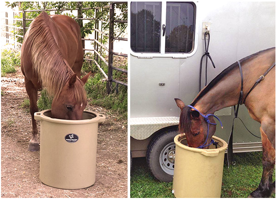 Horses eating from Hay Feeder called Porta-Grazer