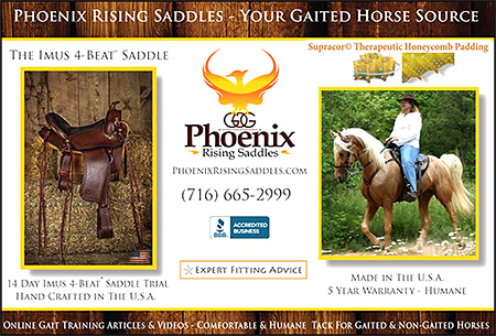 Phoenix Rising Horse Daddles for Gaited Horses
