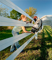 Horse Fence Planning