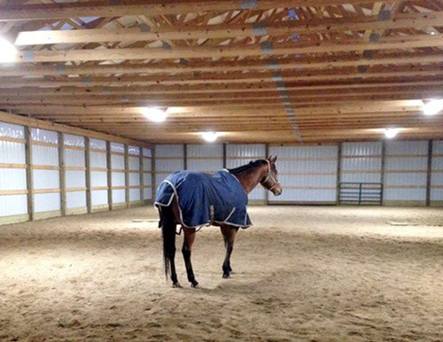 LED Horse Arena Lighting