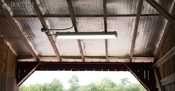 Horse Wash Stall Lighting