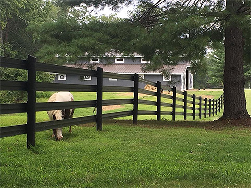 Flex fence is safe for your miniature horse.