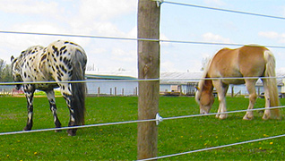 Choosing Electric Horse Fencing