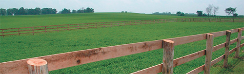 Replace or Repair your Horse Fencing Posts
