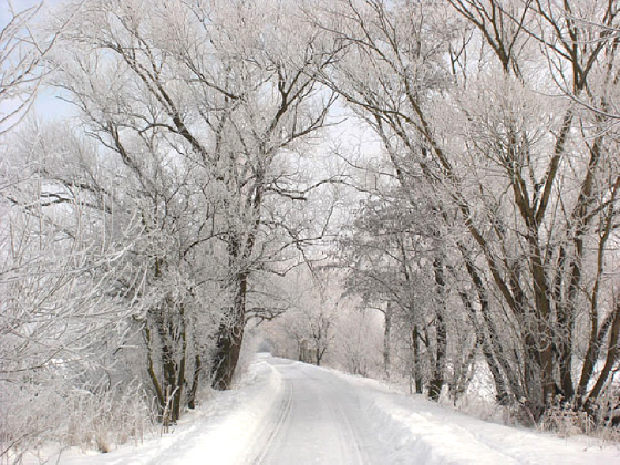 Make your towing vehicle ready for Winter conditions. Make your towing vehicle ready for Winter conditions.