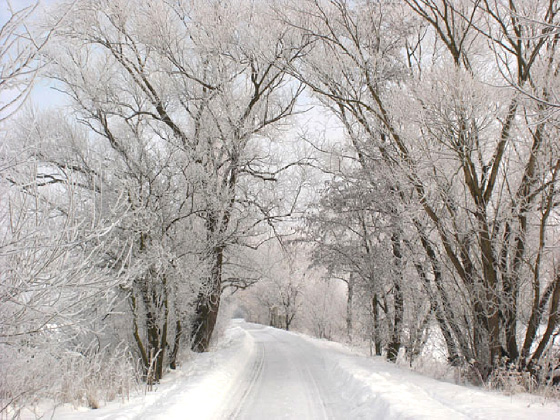 Make your towing vehicle ready for Winter conditions.