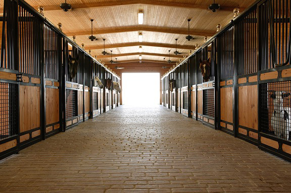 Get Organized! Tips for Keeping the Barn and Tack Room Tidy