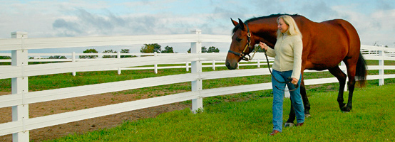 Horse Health Yurnout