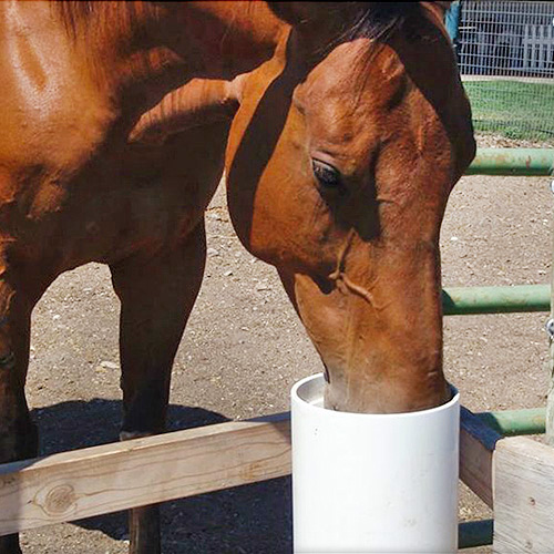 The Drinking Post Waterer from RAMM Stalls & Horse Fencing