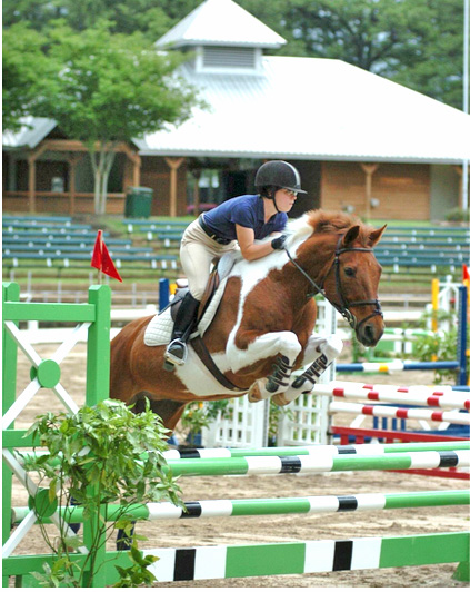 Horse jumping competition