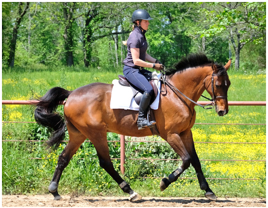Riding relaxed and with suppleness.