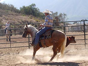 Backing, By backing before the turn I load up his hind end.