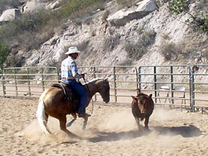 Turning, Rocky is making a good quality turn for a Kindergartner.