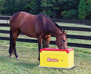 Fresh Water for Horses Automatically with Ritchie