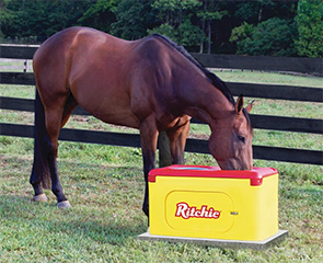 Automatic Horse Waterers from Ritchie