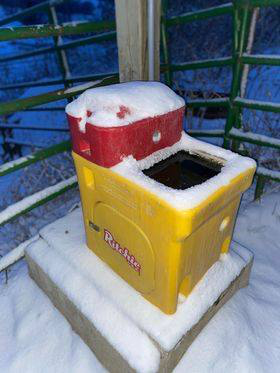 Ritchie Waterers Keep Horse Water from Freezing