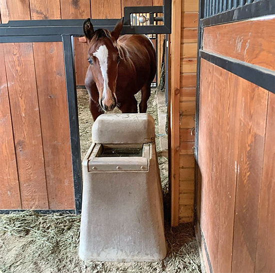 How to Choose the Best Automatic Waterer for Your Horse