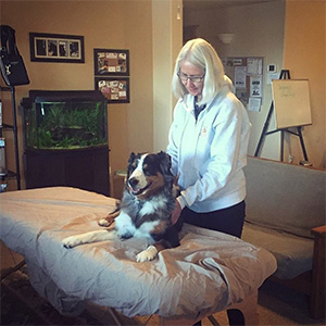 Animal Massage includes dogs and other animals.