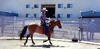 Riding in a Round Pen