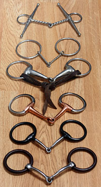 These are just a few snaffle bit variations available.