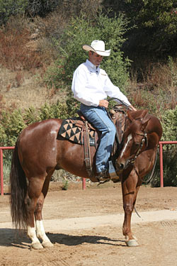 Snaffle bits are ideal for teaching lateral flexion.