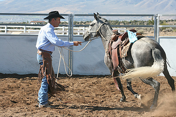 As I started groundwork this horse was pretty uncomfortable.