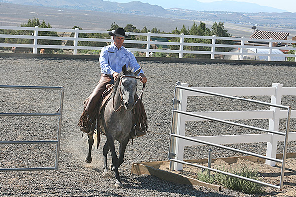 Traveling outside the arena with a loose rein.