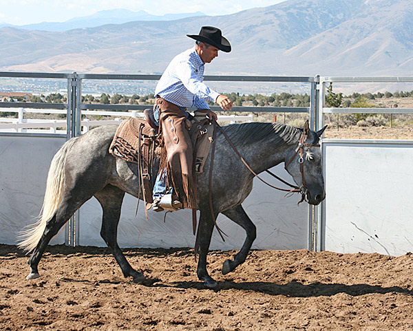 Moving my hand in and out while keeping a loose rein.
