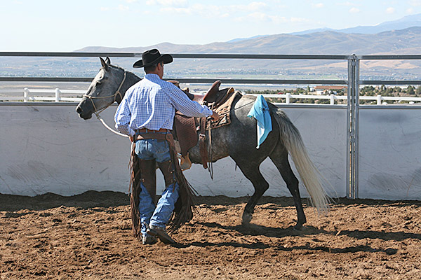 This colt is starting to move around more relaxed.