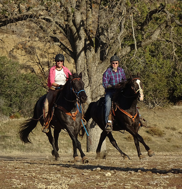 Looping Horses with Confidence