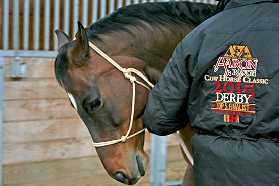 This horse is learning to follow a feel and break at the pole.