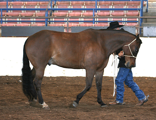 Yielding backward with vertical flexion.