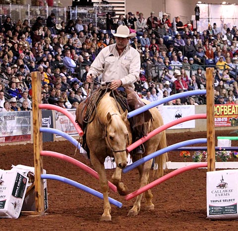 USA, Pat Parelli stepping through the noodle gate.