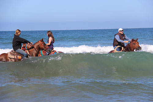 Directing the horse with energy keeps the feet moving.