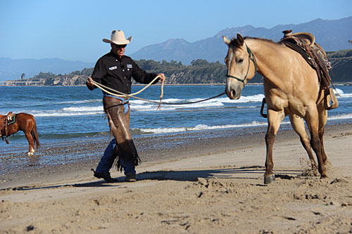 Preparing our horses on the ground before mounting