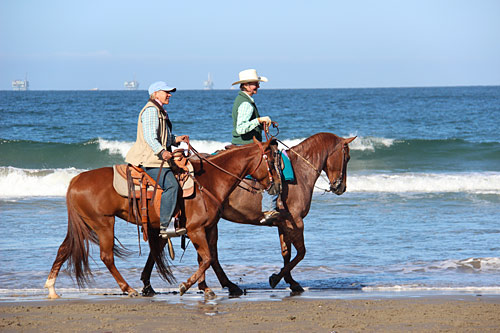 Having a babysitter helps some horses with their fears.