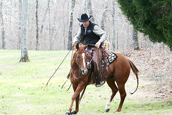 Bending to a walk when my colt moves out too fast.