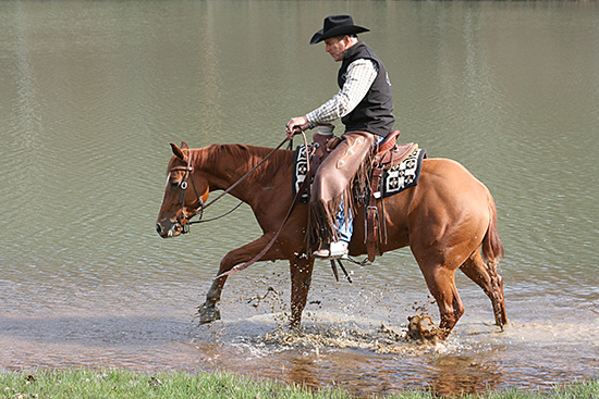 Helping the colt think down to his feet.