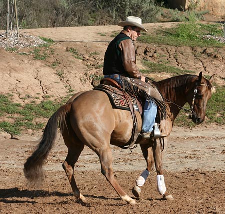 Backing in a left-hand circle with my horse counter bent.