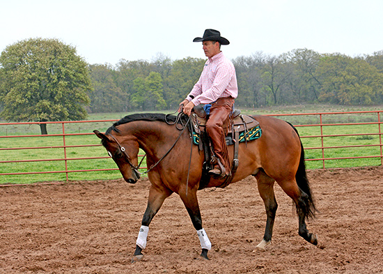 Canter Depart at the Walk