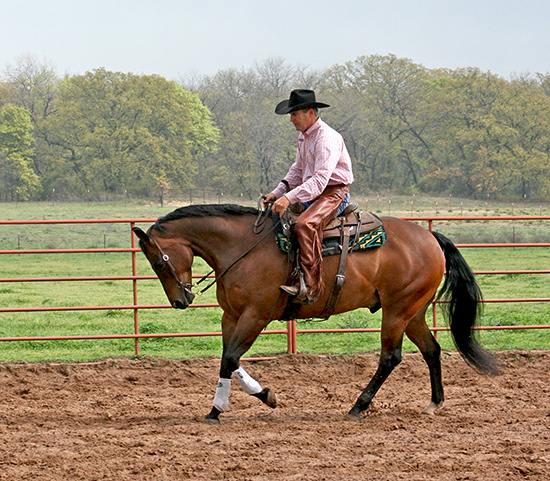 Cantering with Collection 