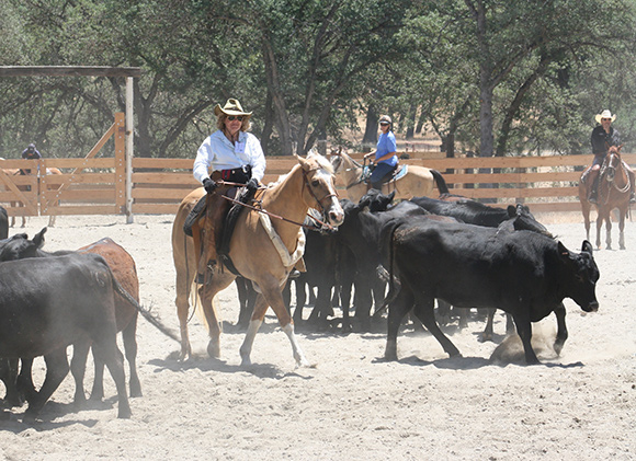 Stepping through the herd.