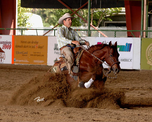 Sliding Stop Reining Horse