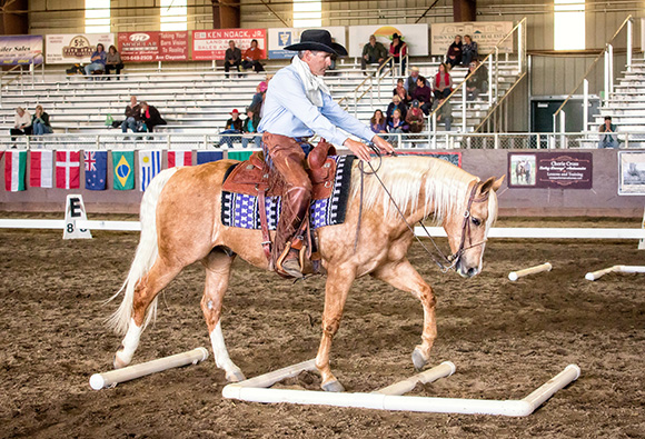 Light contact, forward movement, without the horses head being  too low or over-flexed