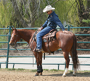Richard Winters Fixing Gate Sour Horses