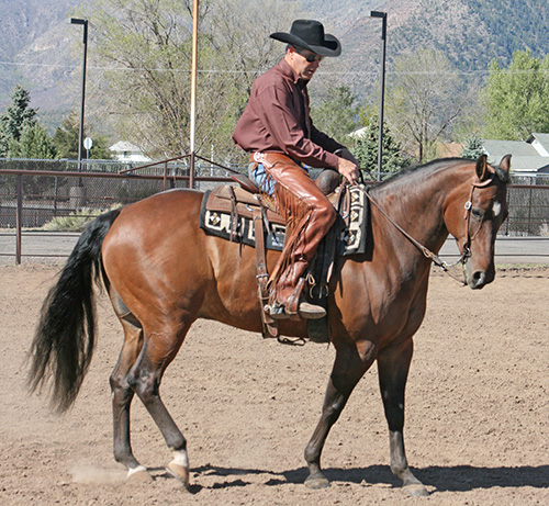 My horse is reaching forward and in with his right hind ready to canter depart on his right lead.