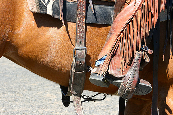Spur placement for moving your horses’ hip..