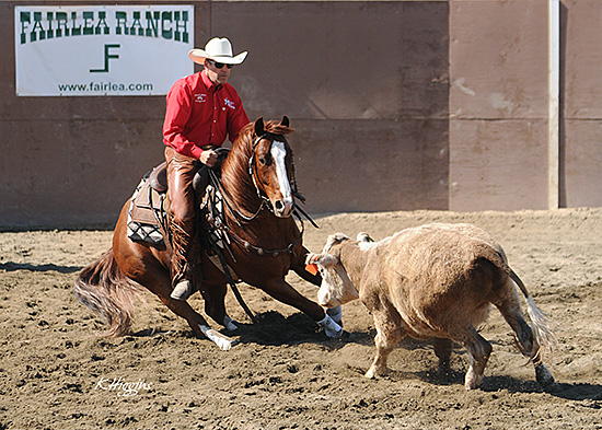 Making a Cow Horse Turn Photo by K Higgins