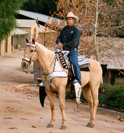 Parade Saddle - Thought Id better tack up and see if everything fit.